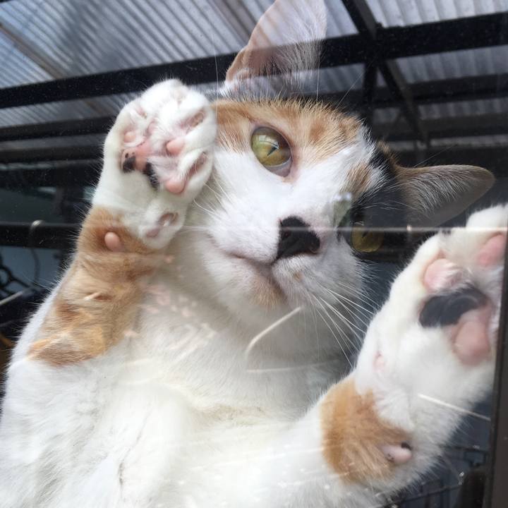 A6ecfc33 42c4 4935 9a2e ca9739a5418f