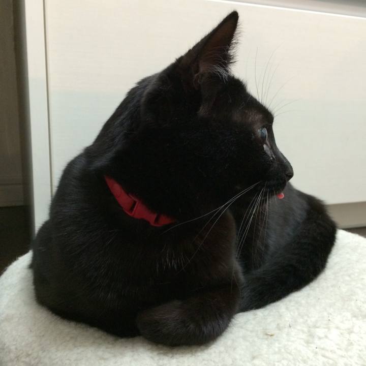 A6ed2f41 c6a9 4ddb 8487 7581ba491f52