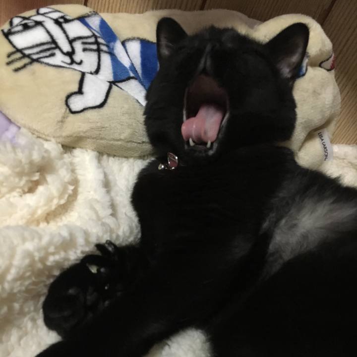 A6ed445c 4b31 46ea 93a3 e57bbeed7482