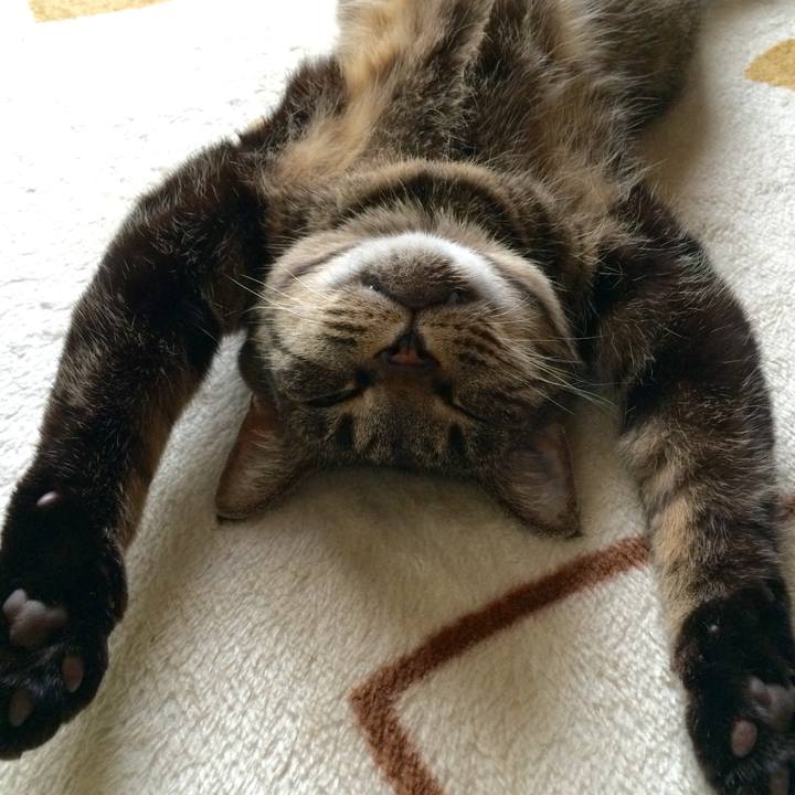 A6ed64e3 e3a0 49f9 8670 82ee844f3c93