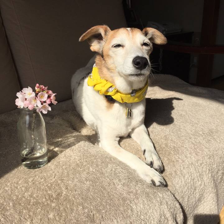 A6ed7fee 415c 4ea6 ab58 cf75a044e910