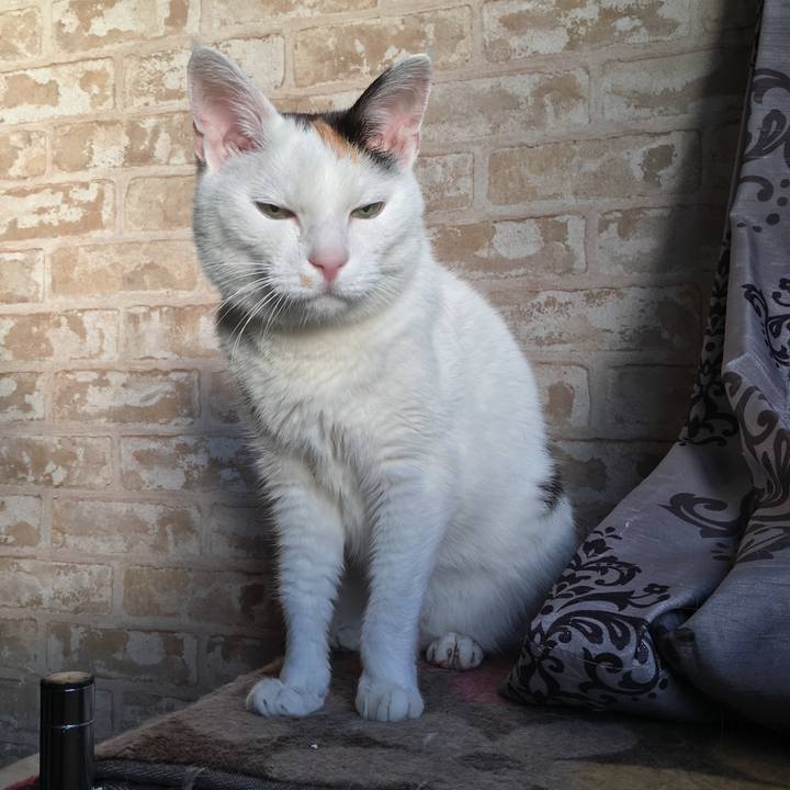 A6eda8c3 39a3 413a 9627 45ef1ae4d34a