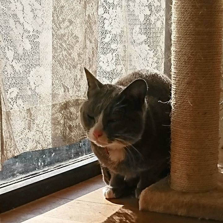 A6edf7c4 9cb9 4aad 8c6a ff3f7bdd7b3d