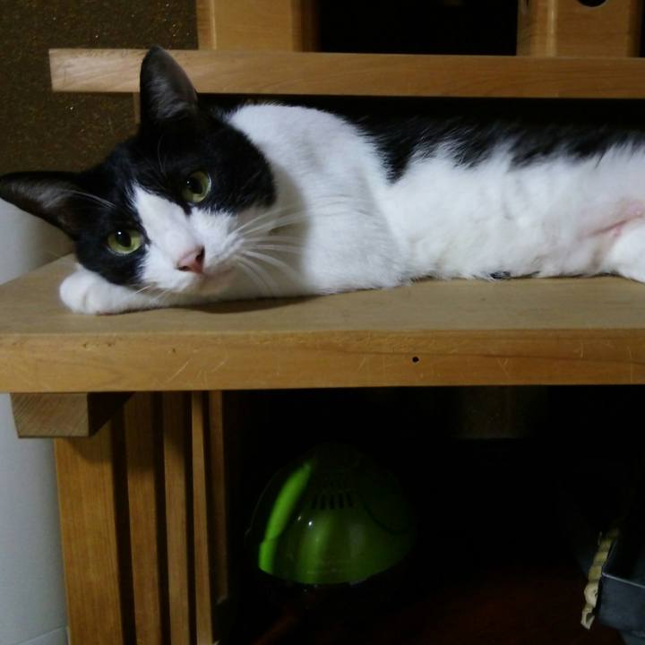 A6ee2d74 1bfe 43e7 9a45 041d6fa2b16a