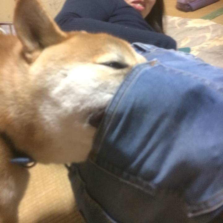 A6eeb7cb d642 4042 82be 4b9e3dfc3c1f