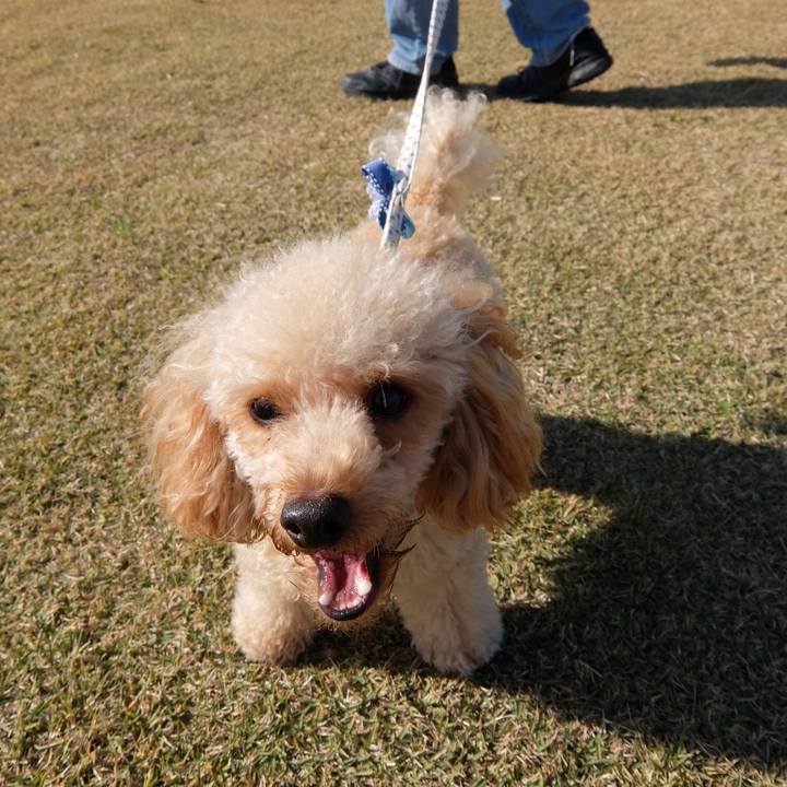 A6eef4c0 0317 4fcb ab79 fea271a37cc4