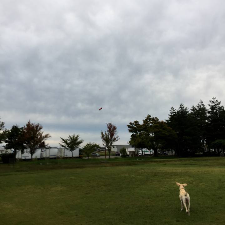 A6efa984 da62 4006 b31c 012ef74189fe