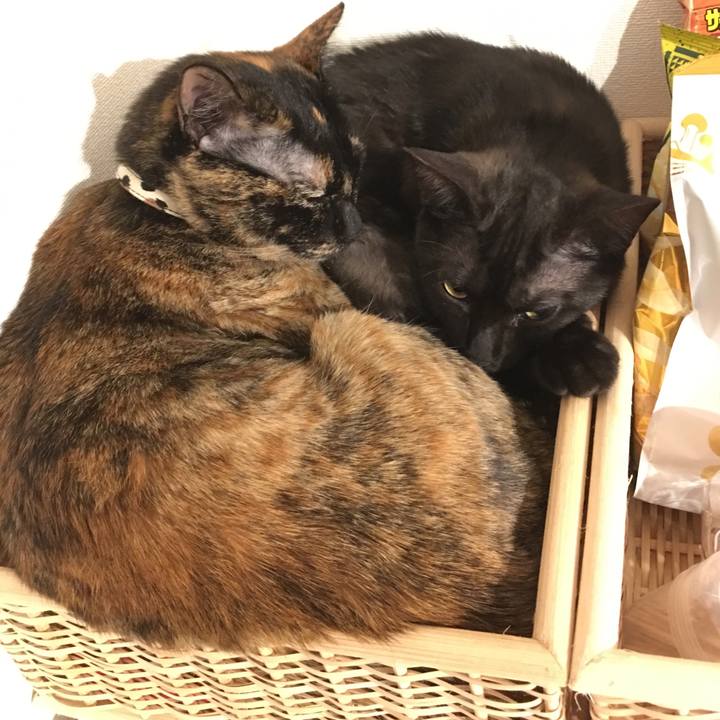 A6efbd7a 9bc4 4a7f 9ae6 2517c10e533b