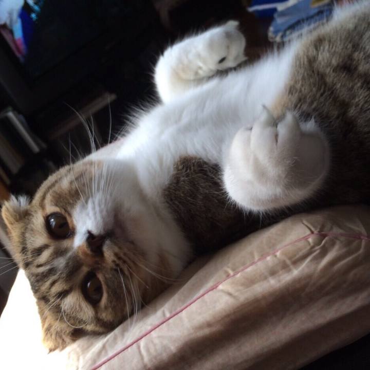 A6eff925 98a9 47fd 8a73 c1d333b0fefa