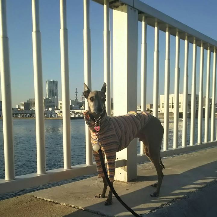 A6f085ba 8575 432e a0eb 44f6592398a2