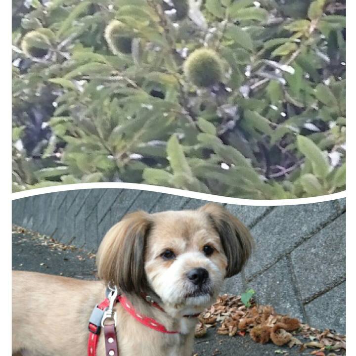 A6f13eb4 0fbe 44a3 a94d 9d375f75bf21