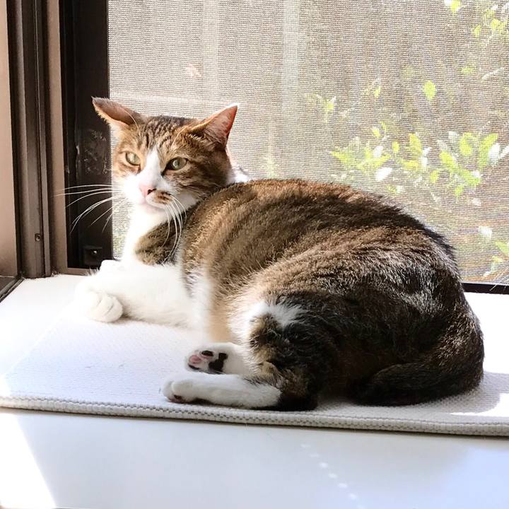 A6f16678 1f1c 493f 95ea 96c1eba1e89d