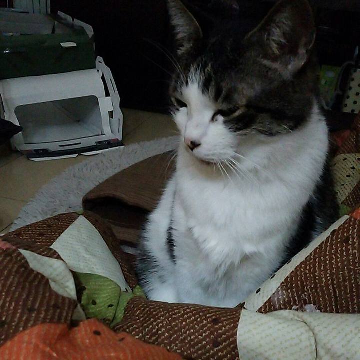 A6f228de ba5b 47e2 9e9c 684eadd06e8b