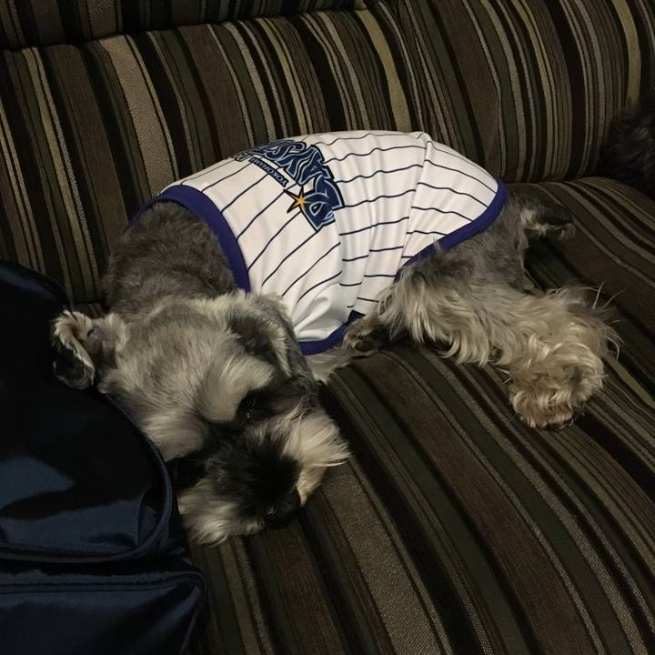 A6f2ebad f594 4813 98d5 1d227c0a24fc