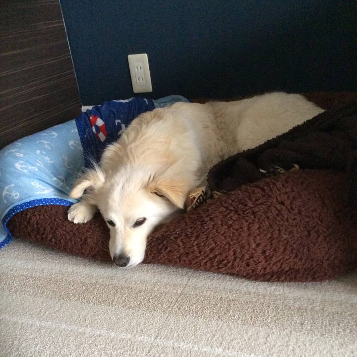 A6f2f1d7 fe8f 484d a085 34f682a0d729