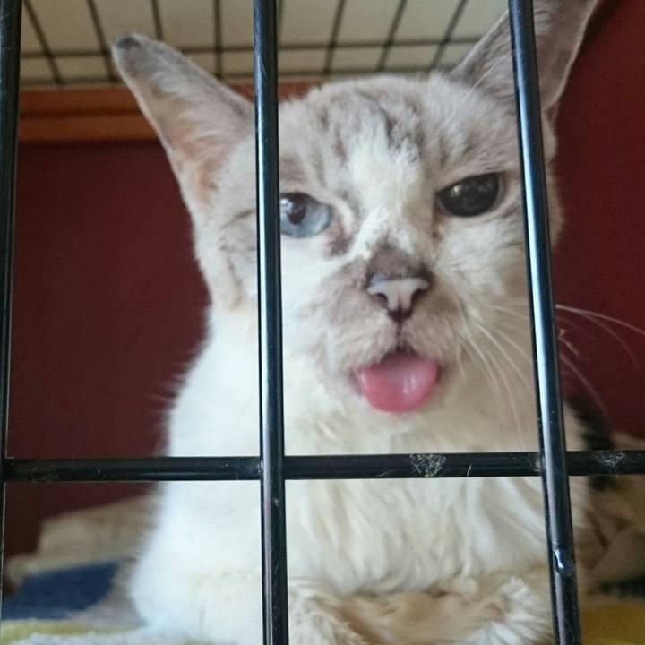 A6f38bb7 e9ba 4ba9 b91b e0437bb95c9f