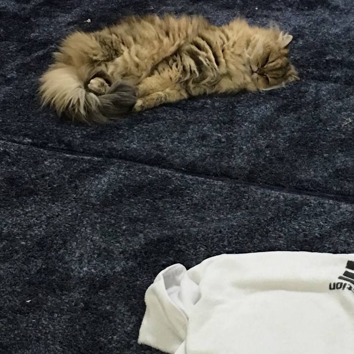 A6f3a171 95c6 4d8a 9949 8875c7437278