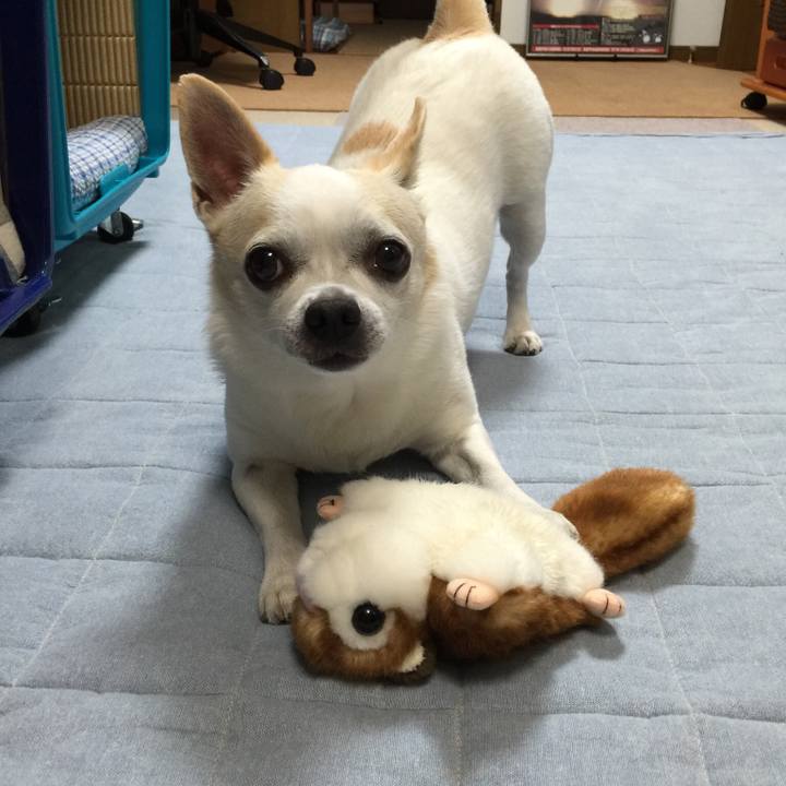 A6f3a878 cf8c 413c 8e1f 9154d0fde236