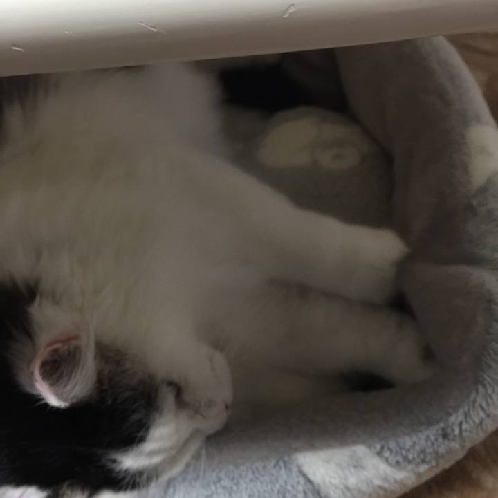 A6f3b2f5 ea74 4624 84c8 99755295cbe4