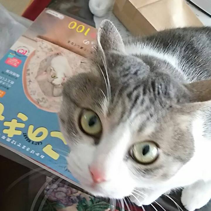 A6f3d9bf 65e6 4a59 bf0d 5b792d2f45f5