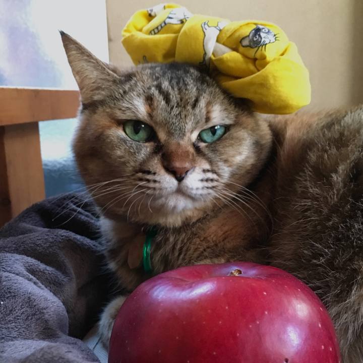 A6f3ddb2 e75f 42c1 a7d5 6507de472955