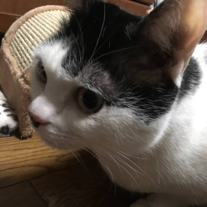 A6f5e6d4 5cd6 4f7b afe7 8d35684723ea