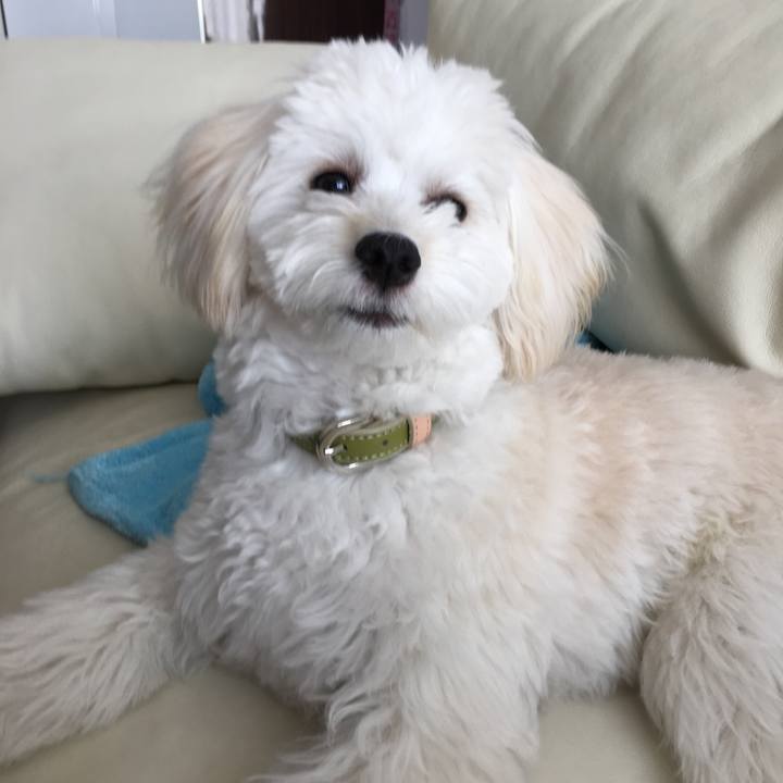 A6f5f96f 8c1b 470e 8858 dbefc1b47ac1