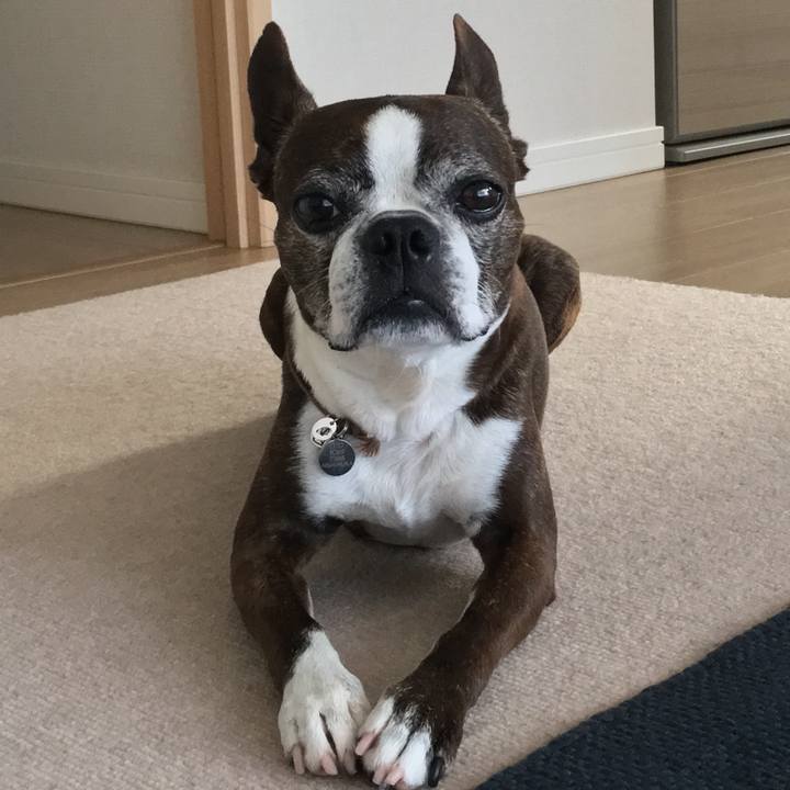 A6f6a5e3 6ed4 4b6f a5da c669fd6c872d