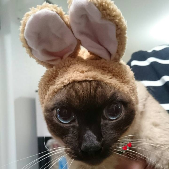 A6f6cabf 9fdf 49f5 9acc 4e4b40302aab