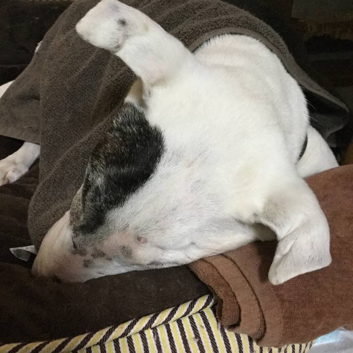 A6f6db54 12b7 4fb4 b1a3 496c5d5ba9b3