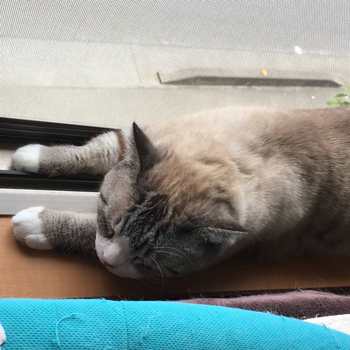 A6f753fc 2cd6 4679 8198 e18885590c3f