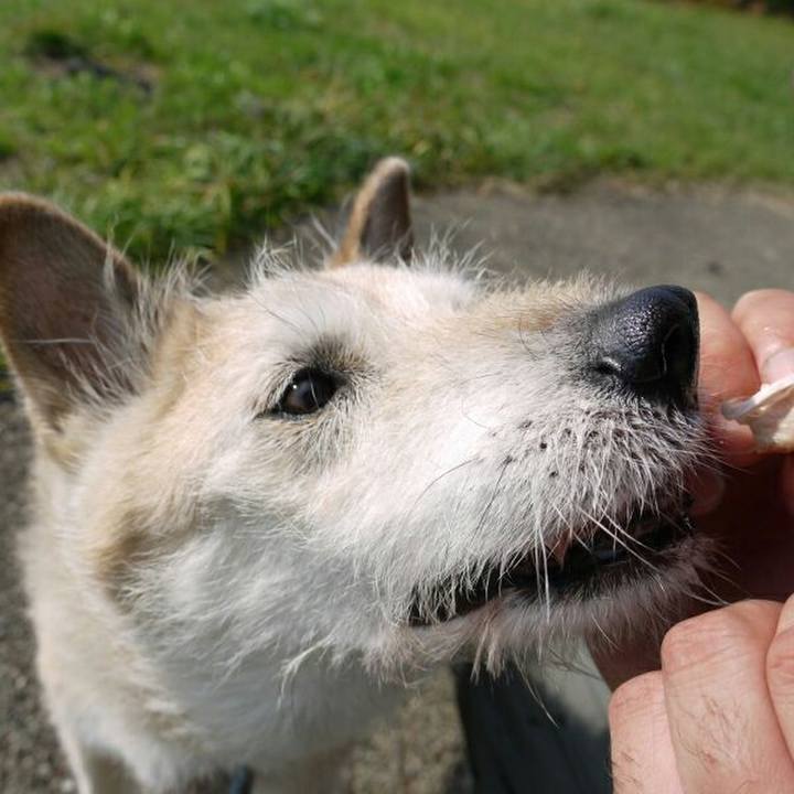 A6f7c71f 787b 4073 90d4 92bbfeaa0c79