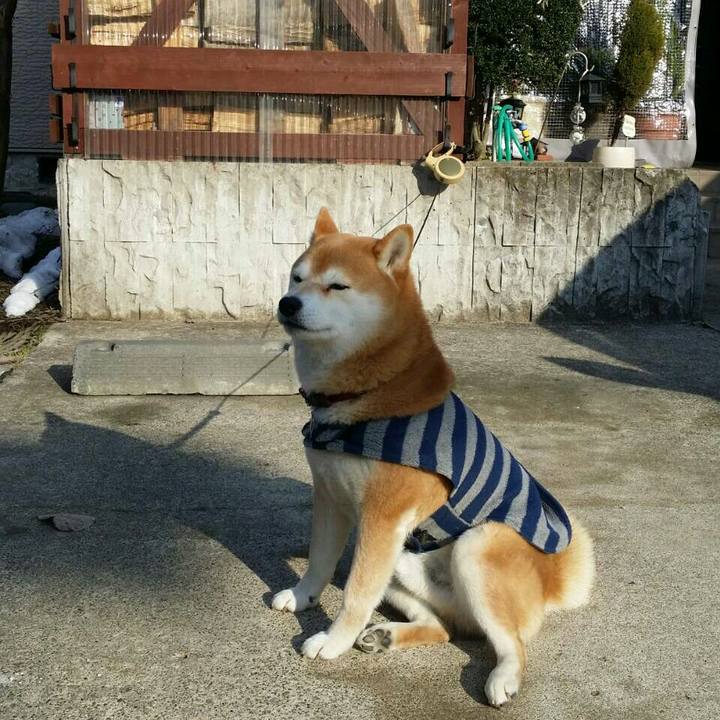 A6f88489 5ca1 4ee3 ae43 3b7a36c2608d