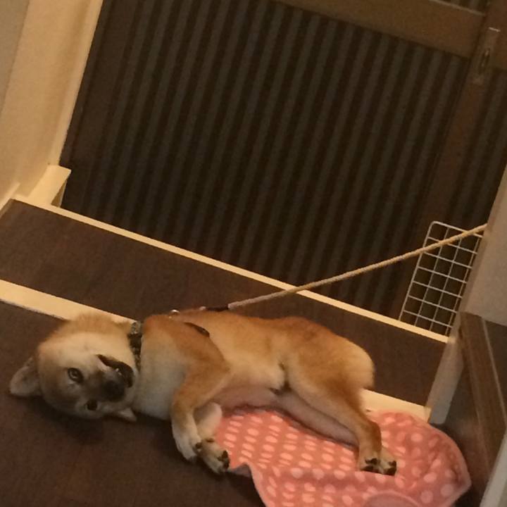 A6f8a6bc 22f0 4e4b a9aa 92e3b8c13dbf