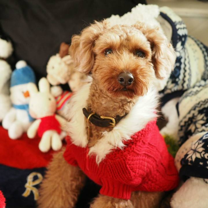 A6f8d1d0 ca1e 4309 96cd 7be59716da69