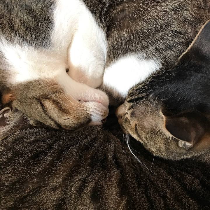 A6f989f1 5e80 41da b6eb 06a225d73193