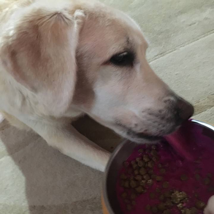 A6f9eef0 c1d4 431f a2e3 9a7c98a07fff