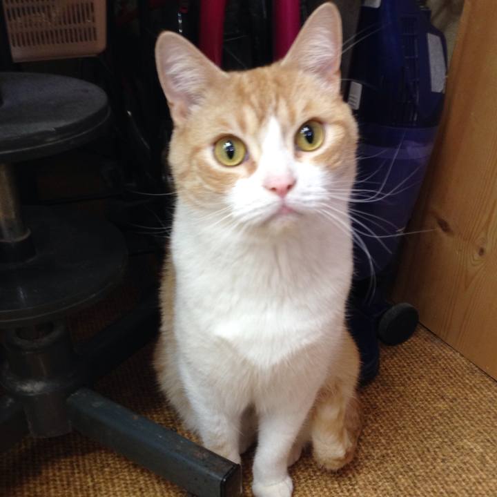 A6fa05dd 4277 4b7f acc4 4bc6a4c3c1e2