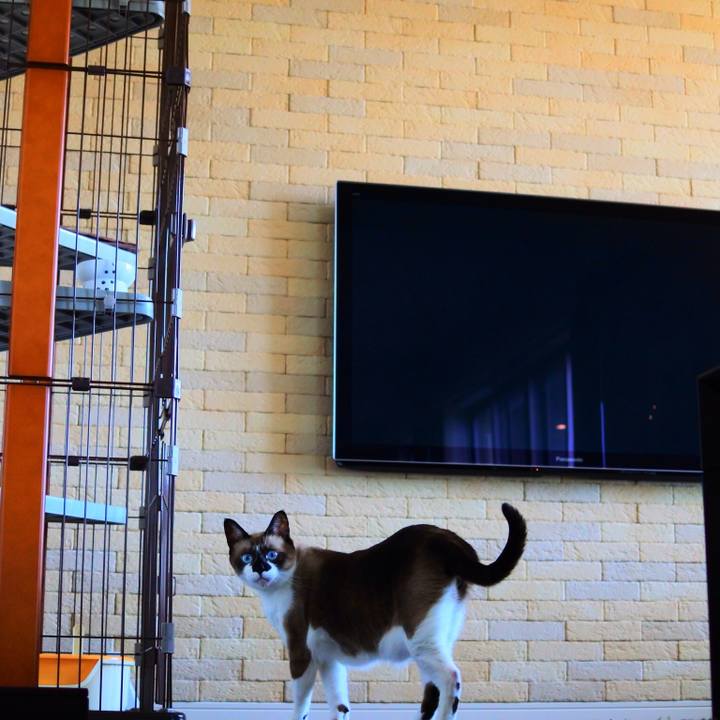 A6fa1437 28e5 426d 9a09 60406d10e5db