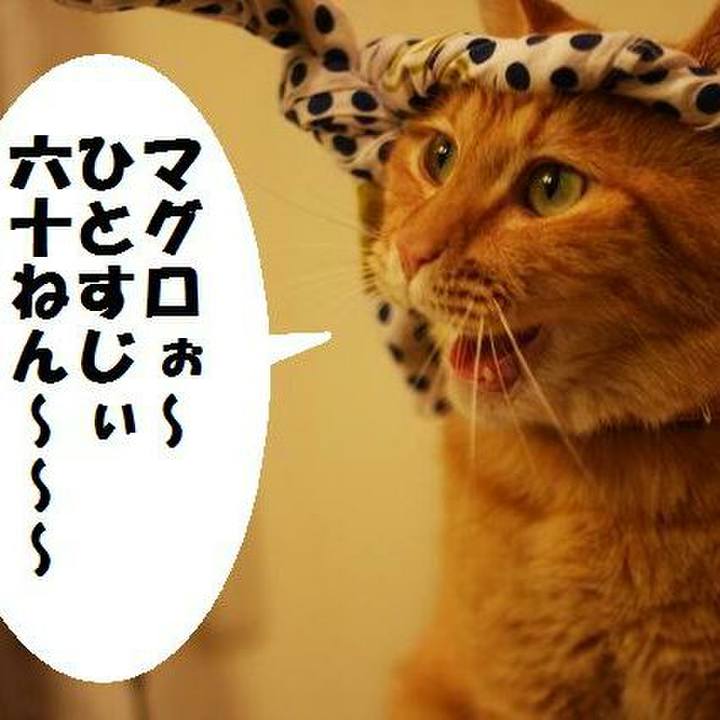 A6fa182c 7c5f 4421 b745 79d6522e51e7