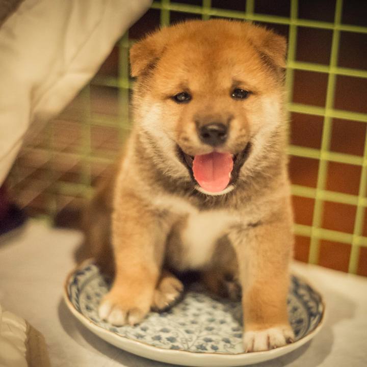 A6fa610e 7c0e 4b23 9cac 0f54c0c9a277