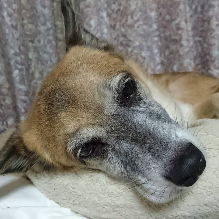 A6fa614b 12e0 4d35 a551 13430416d1af