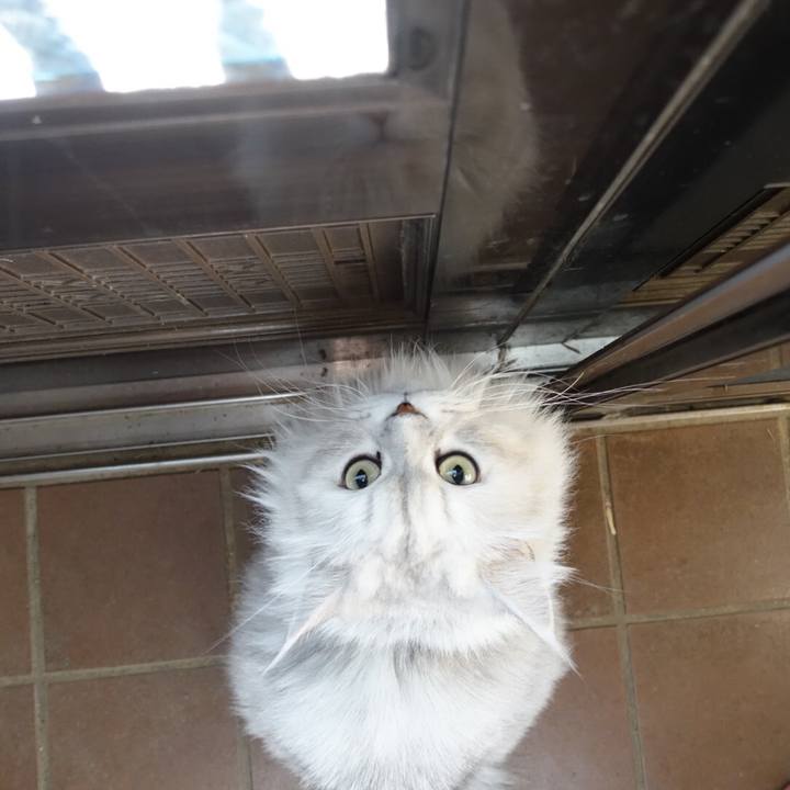 A6faee7b 32be 4c24 83d0 e0aa5174acf6