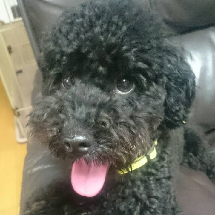 A6fb4b43 6729 4f71 b902 4e998a06fb3d