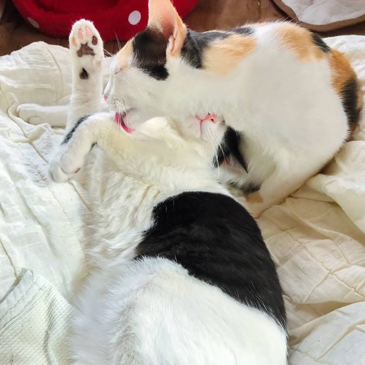 A6fb983a c748 4899 a57f 08d9116024f1