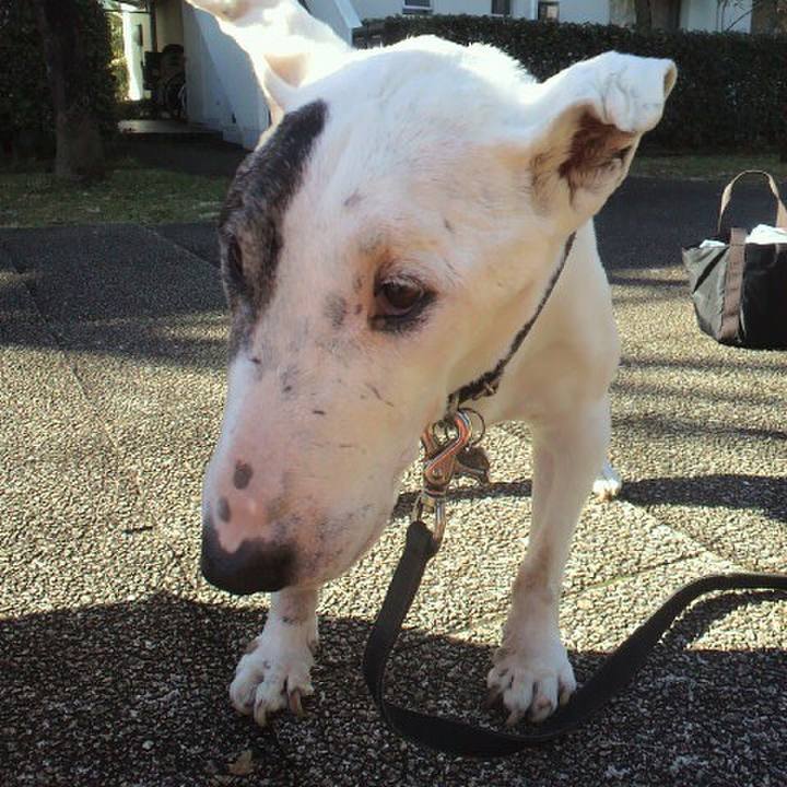 A6fbcd80 0e63 4825 8c4d b09c26973fee