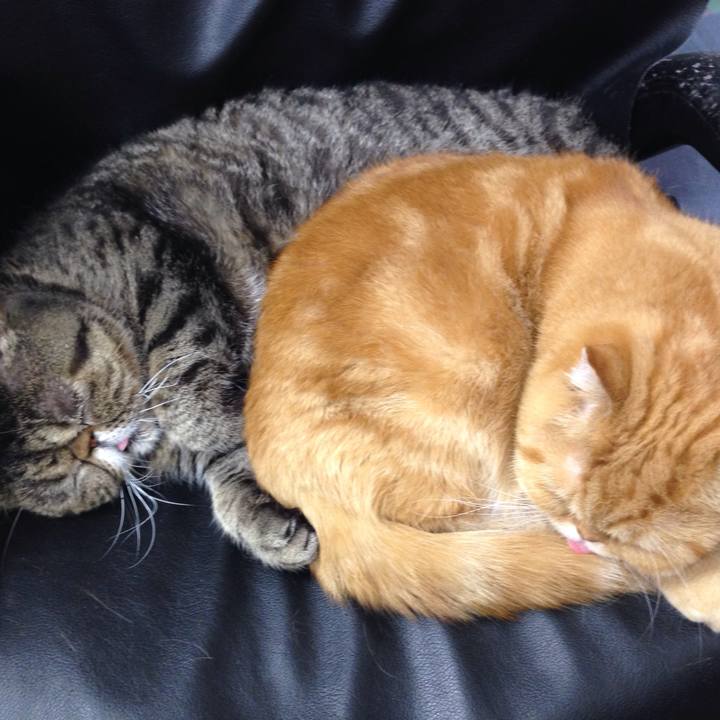 A6fbd516 bd59 4fca a69e c65c63688091