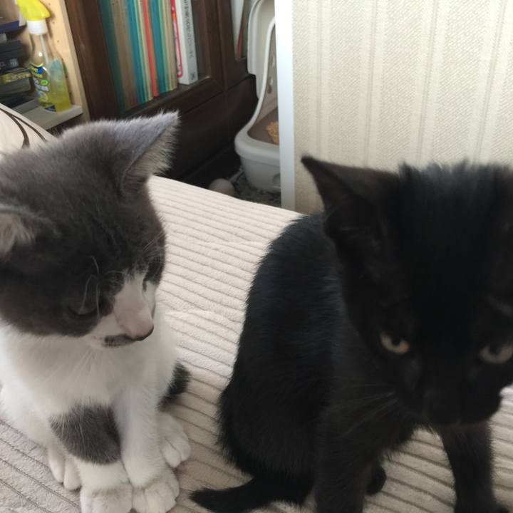 A6fc0c77 973b 4733 b56f 61b099afc7ec