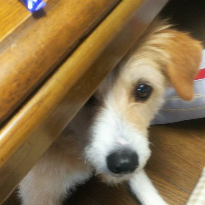 A6fc5d68 9531 4b00 b4d9 e68135ab870f