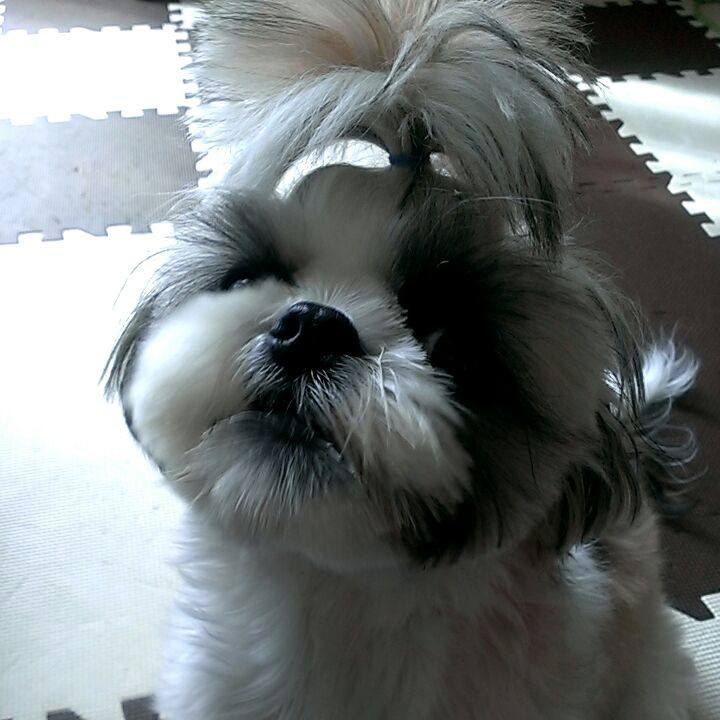 A6fc8490 f847 45ee 8f45 261e434272b2